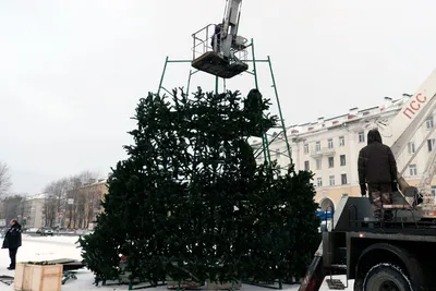 Предновогодние волшебства случаются, когда добро сердец объединяется!