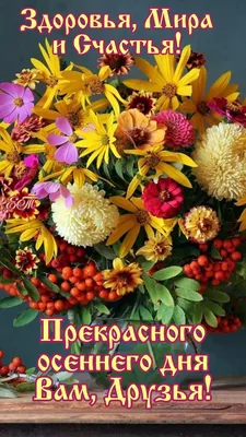 Прекрасного осеннего дня! 05.10.2022🌹🌹🌹💋💖 | Рождественские пейзажи,  Фотографии для мотивации, Открытки