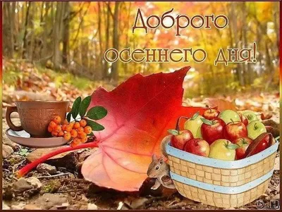 КРАСИВЫЕ ПЕСНИ ОБО ВСЁМ...Прекрасного Осеннего дня! - YouTube