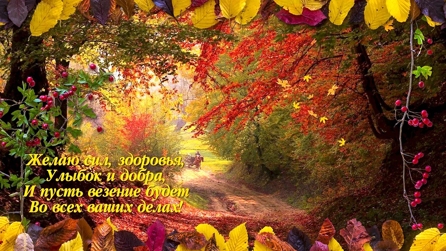 Осень картинки красивые с пожеланиями