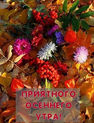 Осенние картинки: Доброго Дня! (184 шт.)