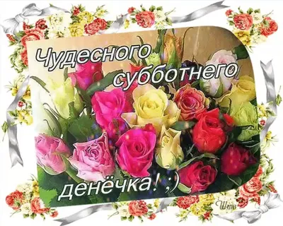 Tamara Pavlova on X: \"@veronikasmolkov Спасибо!!!!!  https://t.co/Nrrpkf6Zsi\" / X