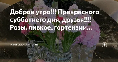 ДОБРОЕ УТРО, ДРУЗЬЯ! ВСЕМ ПРЕКРАСНОГО СУББОТНЕГО НАСТРОЕНИЯ! ☎ 8 (8202)  60-19-12 📍 ул.Металлургов, 2 #агами #череповец #женскиест… | Открытки,  Доброе утро, Надписи