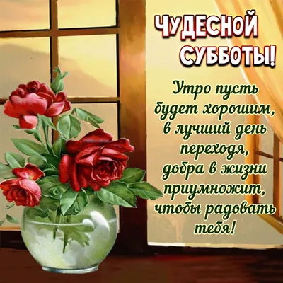 Прекрасного, доброго Вам субботнего дня 🌷 Желаем хорошо провести выходные  и напоминаем о том, что в нашем магазине Вас ждёт свежий казы и… | Instagram