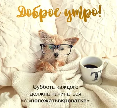Прекрасного субботнего утра и отличного, радостного денька!)))