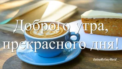 Kristina on X: \"@Olga_Zah Спасибо, Olga! Доброго прекрасного утра пятницы  Вам и отличного дня! https://t.co/5A2pqT6Vsf\" / X