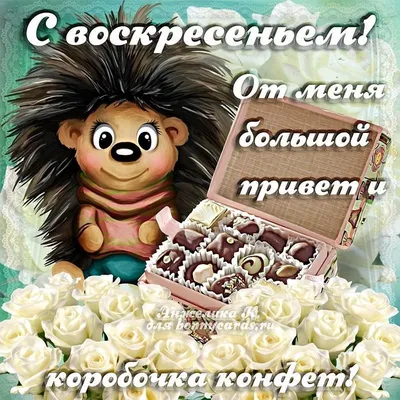 Картинка прекрасного воскресенья - GreetCard.ru