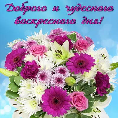 🌺 Замечательного воскресенья! | Поздравления, пожелания, открытки |  ВКонтакте