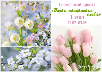 Учреждение здравоохранения \"Щучинская центральная районная больница\" -  Поздравляем Вас с самым прекрасным днем весны – 8 Марта!