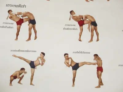 Приемы тайского бокса в картинках