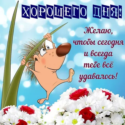 Хорошего дня!!! | Открытки Тедди | ВКонтакте
