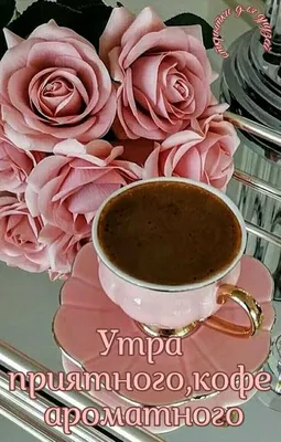 Приятный способ начать свою неделю -начать ее с чашечки ароматного кофе в  @mindal_myata . Утро , бодрящий кофе , вкусные десерты - что… | Instagram