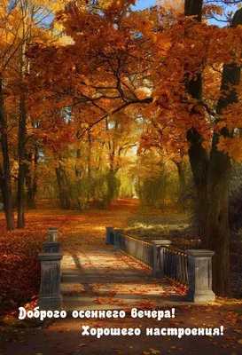 Пожелания Приятного Осеннего Вечера В Картинках Гифки – Telegraph