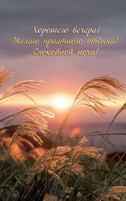 Картинки хорошей погоды и отличного отдыха (41 фото) » Картинки и статусы  про окружающий мир вокруг