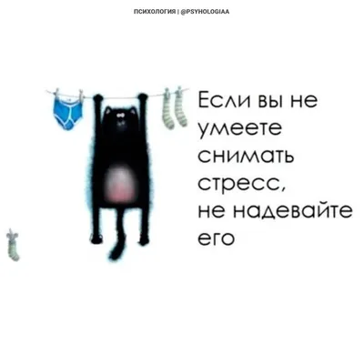 Доброго утра! Хорошего Понедельника! Позитивчик вам с утра для хорошег... |  TikTok