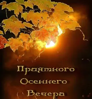 Приятного субботнего вечера🤗 В выходные хочется немного отвлечься от  серьезных тем. Работы художника Франсиско Хосе Перес Маседо. … | Instagram