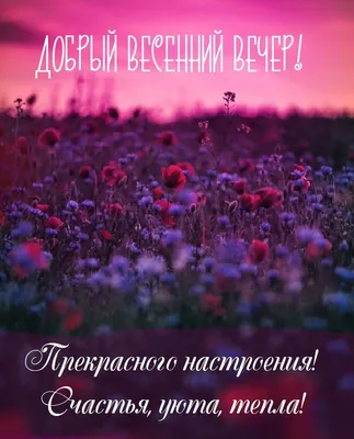 Открытка приятного весеннего вечера - лучшая подборка открыток в разделе:  Хорошего вечера на npf-rpf.ru