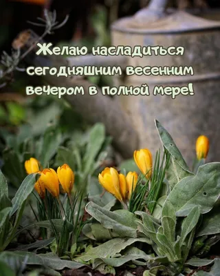 Картинки \"Доброго весеннего вечера!\" (185 шт.)