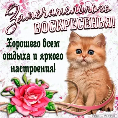 Открытка с воскресеньем, хорошего дня - GreetCard.ru