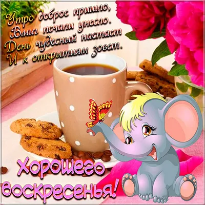 Открытки - Доброго воскресенья! 💗😘💞🤗💝😘💖🤗❤😘💕 Хочу пожелать тебе  самого приятного воскресного дня. Чтобы он прошел неспешно и очень вкусно,  весело и продуктивно. | Facebook