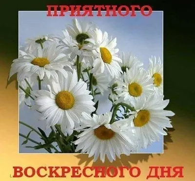 Пин от пользователя Наталия Лукаш на доске Доброе утро | Утренние  сообщения, Доброе утро, Утренние цитаты