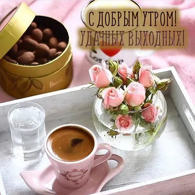 Доброе утро‼️😉 Приятного воскресного дня⚡️💪 @vladimir_vegner  #БКСталькалининград | Instagram