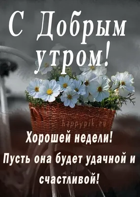 Доброе утро хорошей недели! Пожелания удачной недели. | Открытки, Доброе  утро, Праздник