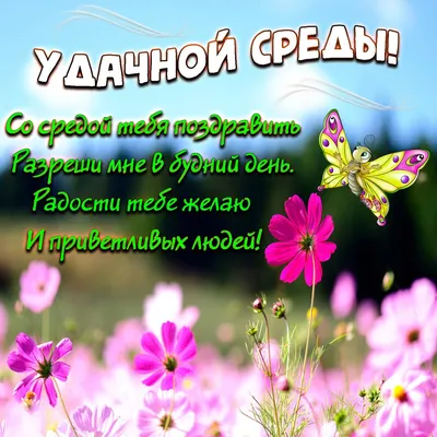 С Добрым утром, сегодня среда🌸 | Открытки Тедди | ВКонтакте