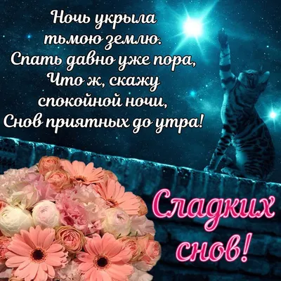 Доброй ночи Спокойной ночи Приятных Снов valentines day love night png  download - 4195*2737 - Free Transparent Valentines Day Love png Download. -  CleanPNG / KissPNG