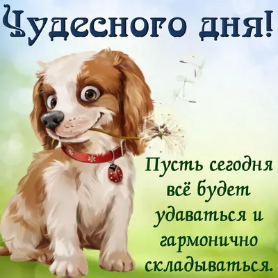 100 улыбок - #юмор #юморвкартинках #добрыйдень #прикол #прикольно #смех  #смешно #шутка #ахах #лайк #сарказм #анекдот #анекдоты #шуткадня #лучшее  #интересно | Facebook