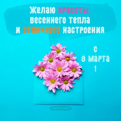 Прикольные открытки-поздравления с 8 марта - Новости на KP.UA