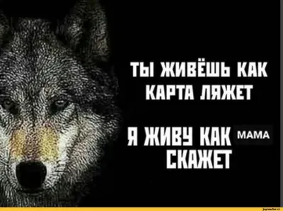Более 100 мотивационных цитат для поощрения совместной работы в коллективе  [2023] • Asana