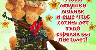 Прикольные открытки на 23 февраля для защитников Отечества - МК Новосибирск