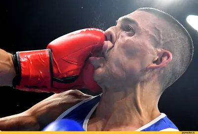 Funny boxer isolated stock image. Image of athlete, isolated - 20230139