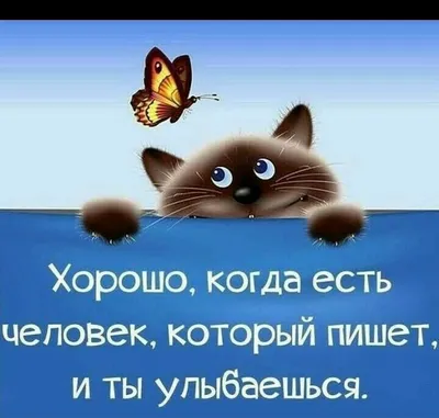 Прикольные картинки для поднятия настроения мужчине