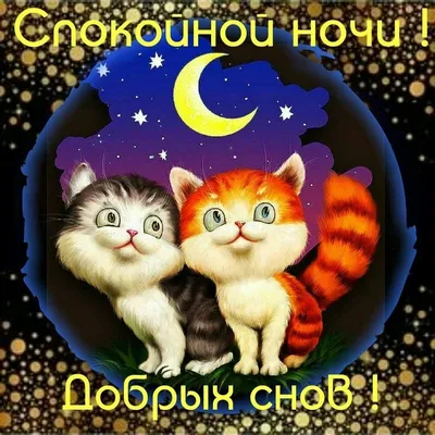 Прикольные открытки \"Спокойной ночи!\" (229 шт.)