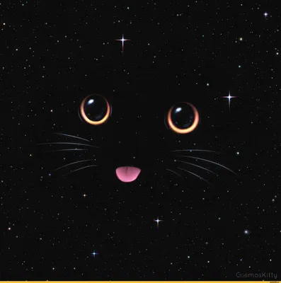 космос :: котэ (прикольные картинки с кошками) / смешные картинки и другие  приколы: комиксы, гиф анимация, видео, лучший интеллектуальный юмор.