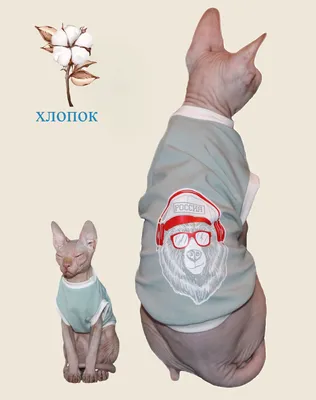 Одежда для кошек, котов и собак мелких пород \"Россия\" - купить с доставкой  по выгодным ценам в интернет-магазине OZON (831504434)