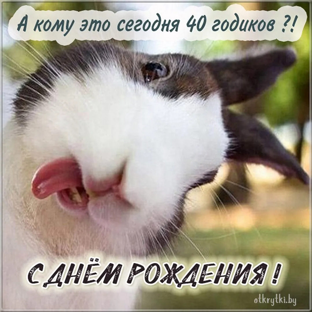 Юрич С Днем Рождения Картинки Юмор