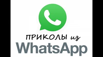 прикольные стикеры в whatsapp｜Búsqueda de TikTok