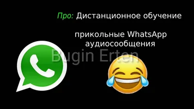 Самые популярные стикеры WhatsApp, которые используются в 2023 году