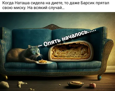 Весёлые картинки: коты на диете | Марина Урусова | Дзен