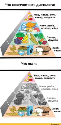 1-я Наклейка Наклейка на холодильник интерьерная Приколы