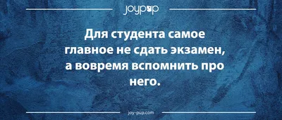 Смешное о студентах: анекдоты про студентов, шутки, приколы, мемы и картинки