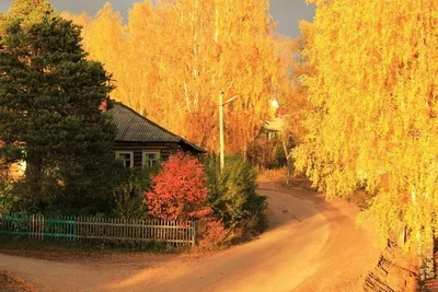 Золотая осень в деревне картинки - красивые