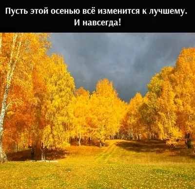 Золотая осень картинки прикольные - 75 фото