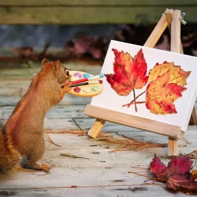 Картинки осень на заставку телефона (100 фото) • Прикольные картинки и  позитив
