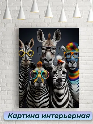 Картины для интерьера 50х70 Смешные зебры в очках - купить по низкой цене в  интернет-магазине OZON (1231931720)
