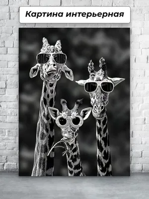 Картины для интерьера 30х40 Жирафы Прикол Смешные - купить по низкой цене в  интернет-магазине OZON (940540921)