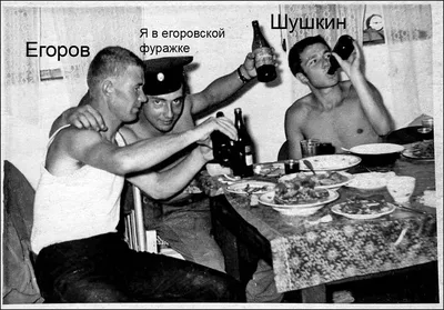 Утечка документов Сил обороны: угон транспорта, 4,8 промилле за четыре часа  и другие веселые алкогольные истории из армии - Delfi RUS
